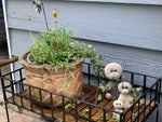 BIG BEAR GARDEN STATUE 10" - HAPPY GARDENS