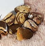 Small Air Plant Terrarium Molten Glass Driftwood Vase – Zebra Jasper Stones