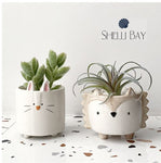 Succulent Planter Pots | Singles or Set of 4 | Animal Planter Pots | Seedling Pots | Small Ceramic Planter Pots