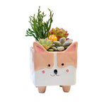 Succulent Planter Pots | Singles or Set of 4 | Animal Planter Pots | Seedling Pots | Small Ceramic Planter Pots