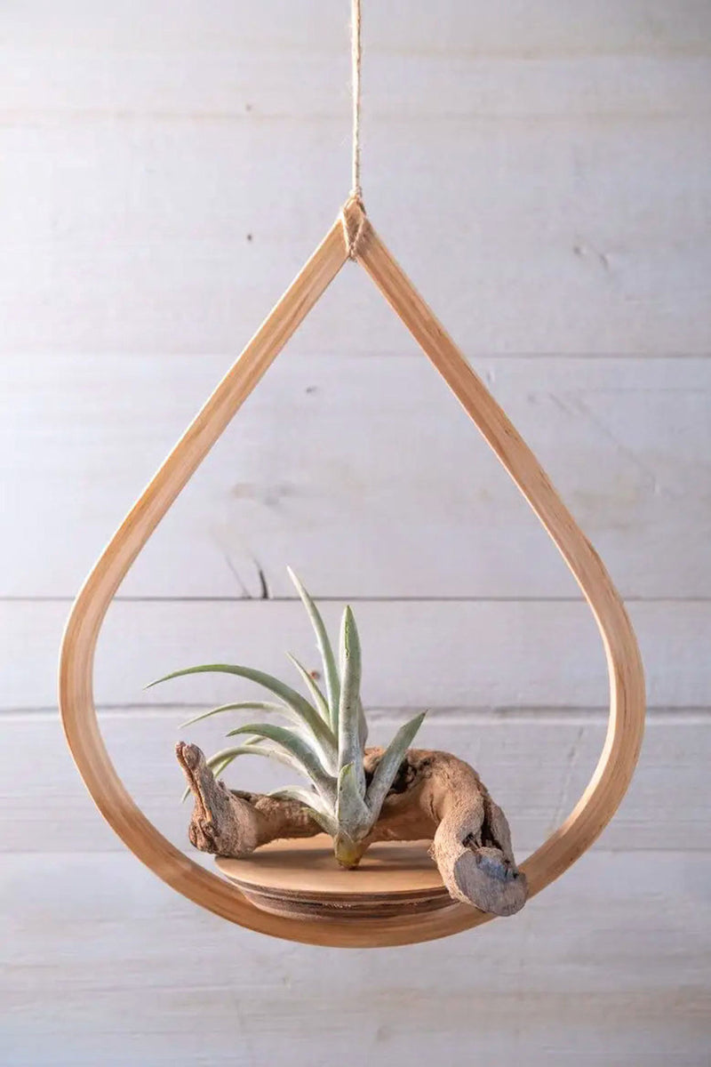 teardrop hanging plant Single Tear Drop Hanging Planter