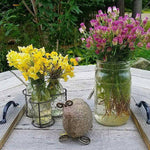 TORTOISE GARDEN STATUE - HAPPY GARDENS