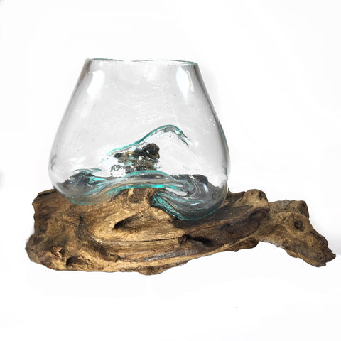 Molten Glass on Driftwood Small - 5" Vase Terrarium