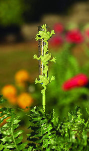 CAST BRASS FROG RAIN GAUGE - HAPPY GARDENS
