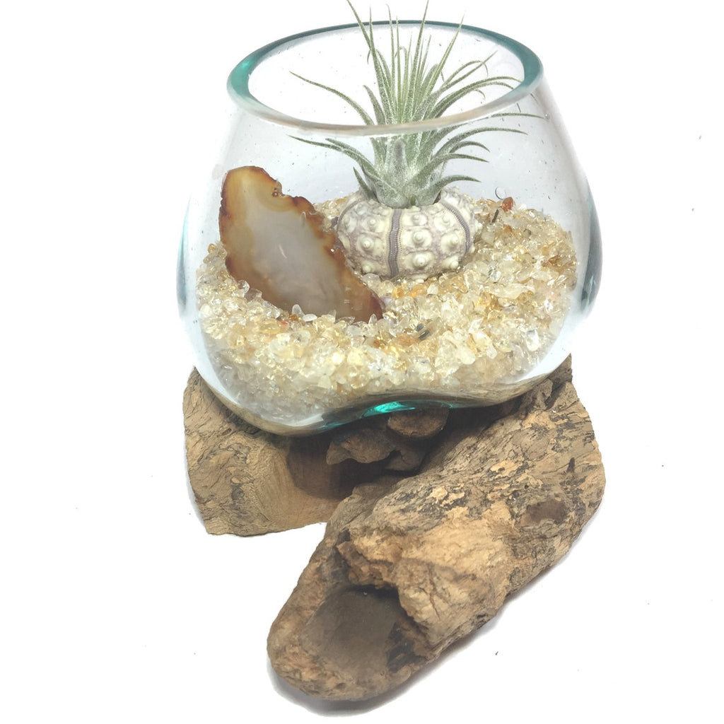 air plant terrarium with crystals Molten Glass Air Plant Terrarium – Citrine Crystal and Agate Slice Hea – ShelliBay
