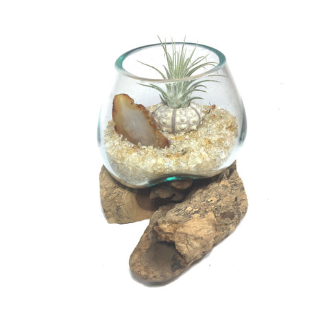 Molten Glass Air Plant Terrarium – Citrine Crystal and Agate Slice Healing Chakra Gemstones 7in x 5in- Light Joy Happiness
