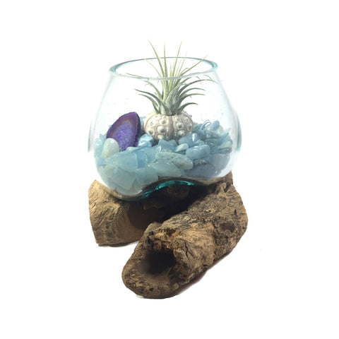 Molten Glass Air Plant Terrarium – Aquamarine Crystal and Agate Slice Healing Chakra Gemstones 7in x 5in- Soothing Stone - March Birthstone