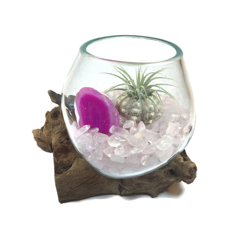 Molten Glass Air Plant Terrarium – Rose Quartz Crystal and Agate Slice Healing Chakra Gemstones 7in x 5in- The Love Magnet - 4 Colors