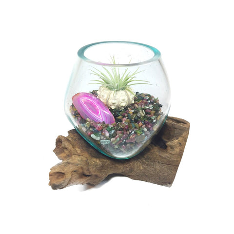 Molten Glass Air Plant Terrarium – Tourmaline Crystal and Agate Slice Healing Chakra Gemstones 7in x 5in- The Energy Bouncer