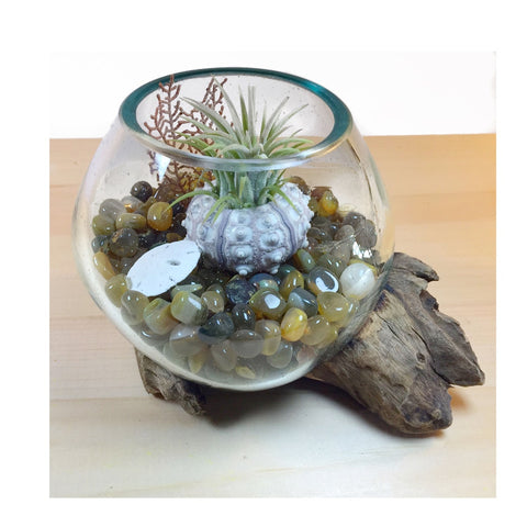 Molten Glass Air Plant Terrarium – Agate Stone Healing Chakra Gemstones 6in x 6in- The Gentle Calmer - 6 Colors