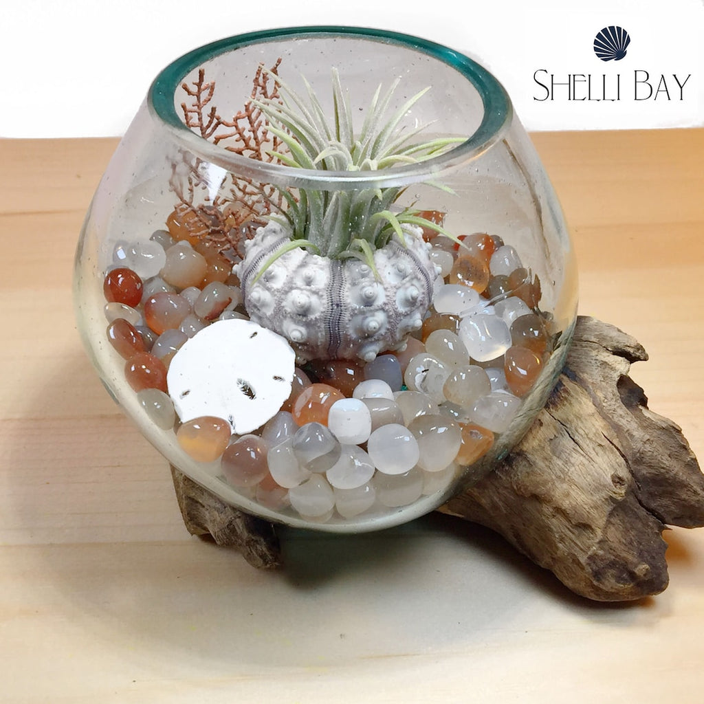 air plant stones Molten Glass Air Plant Terrarium – Agate Stone Healing Chakra Gemstone – ShelliBay