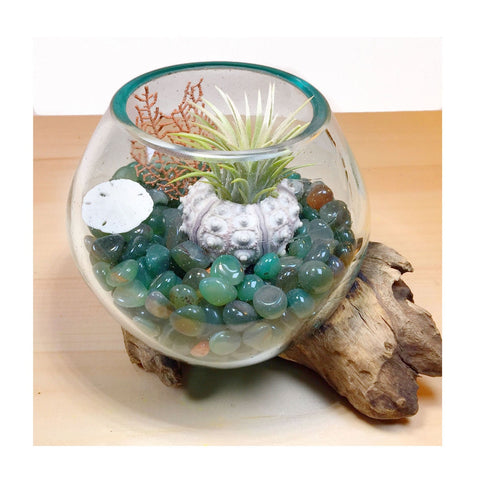 Molten Glass Air Plant Terrarium – Agate Stone Healing Chakra Gemstones 6in x 6in- The Gentle Calmer - 6 Colors
