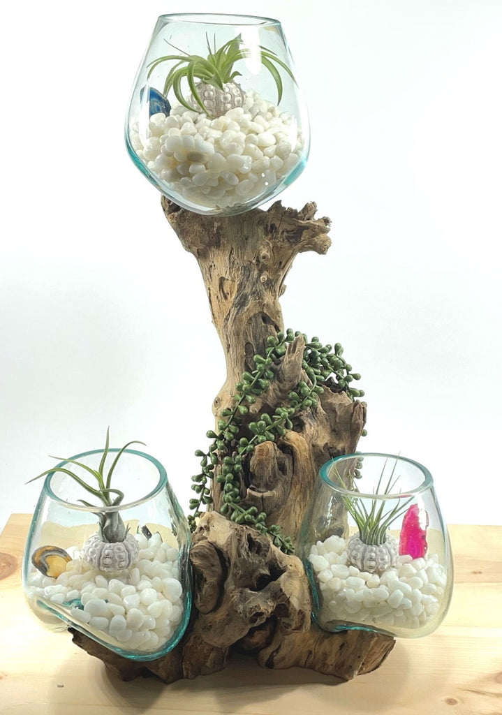 succulents in tall glass vases Molten Glass on Driftwood 3 Tier Glass Vase Bowls