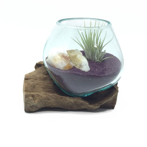 air plant terrarium sand Small Air Plant Terrarium in a Molten Glass on Driftwood Vase- Purple – ShelliBay