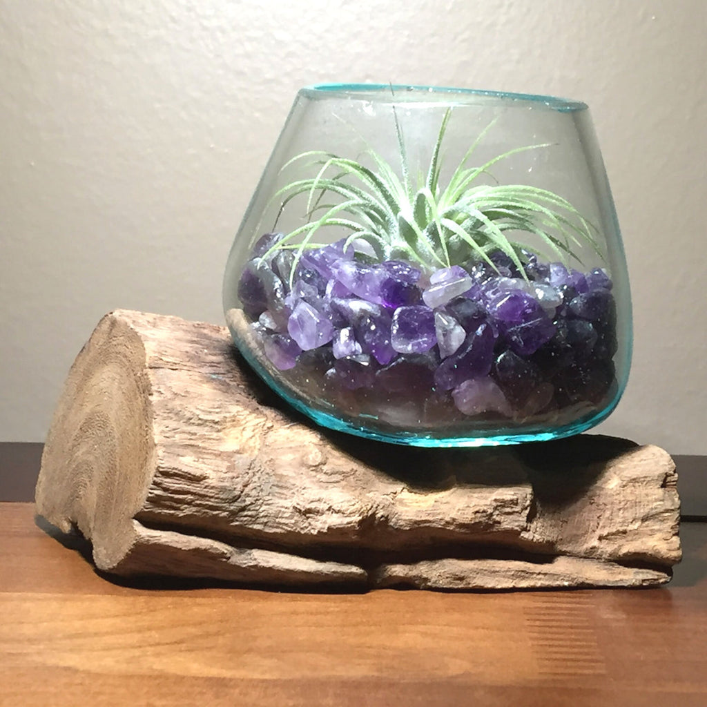 amethyst air plant Small Air Plant Terrarium Molten Glass Driftwood Vase – Amethyst Stone – ShelliBay