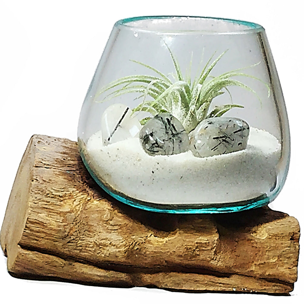 small glass terrarium for air plants Small Air Plant Terrarium Molten Glass Driftwood Vase – Tourmalinated – ShelliBay