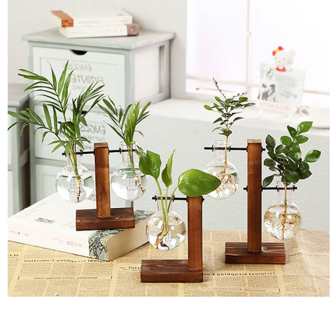 Glass Vase Plant Propagation Station Iron Rod Wooden Stand