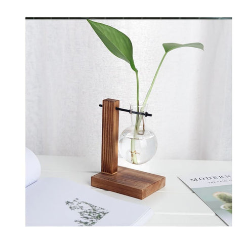 Single Glass Vase Plant Propagation Station with Wooden Stand