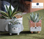 Succulent Planter Pots | Singles or Set of 4 | Animal Planter Pots | Seedling Pots |  Small Ceramic Planter Pots