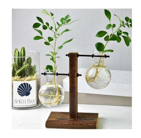 2 Glass Vase Plant Propagation Station with wooden stand