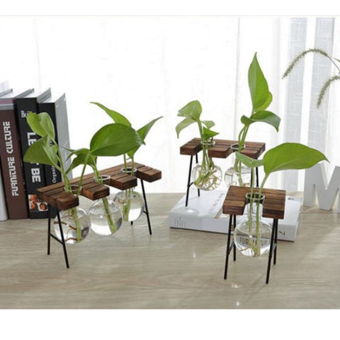 Glass Vase Plant Propagation Station Wood and Metal Stand