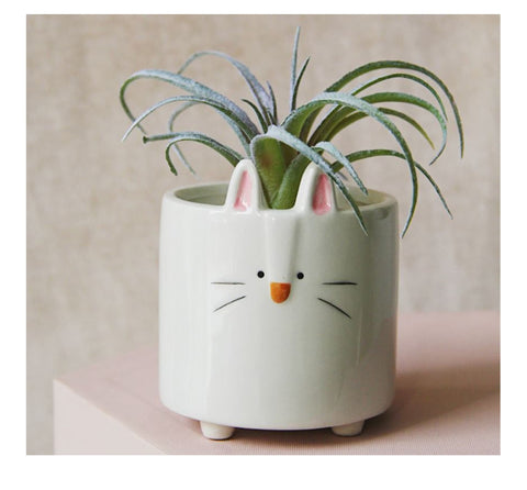 Succulent Planter Pots | Singles or Set of 4 | Animal Planter Pots | Seedling Pots |  Small Ceramic Planter Pots