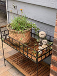 MEDIUM BEAR GARDEN STATUE 8" - HAPPY GARDENS