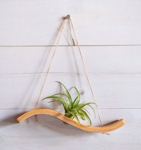 Mini Wave Air Plant Hanger, Air Plant Display,