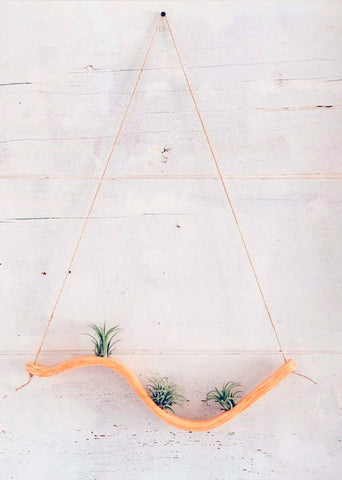 Small Wave Air Plant Hanger