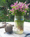TORTOISE GARDEN STATUE - HAPPY GARDENS